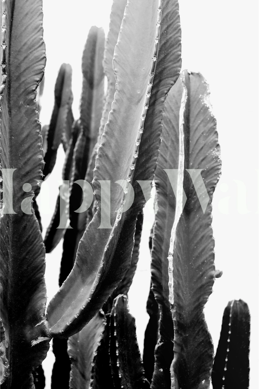 Monochrome cactus wallpaper in een kamer
