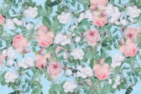 roses on light blue behang