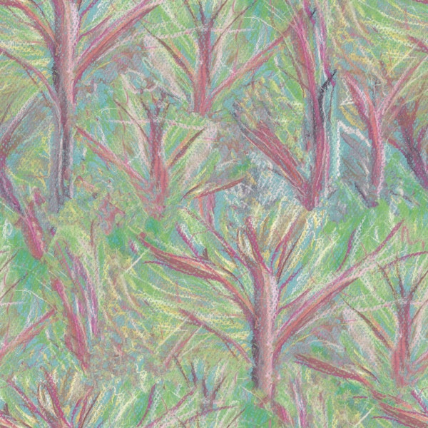 Vibrant Forest Foliage