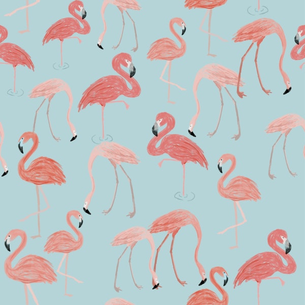 Pink Flamingo Aqua Paradise