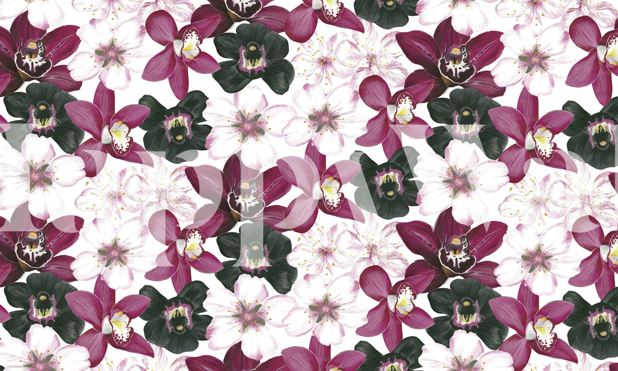 Purple and white floral orchid wallpaper with vibrant blooms