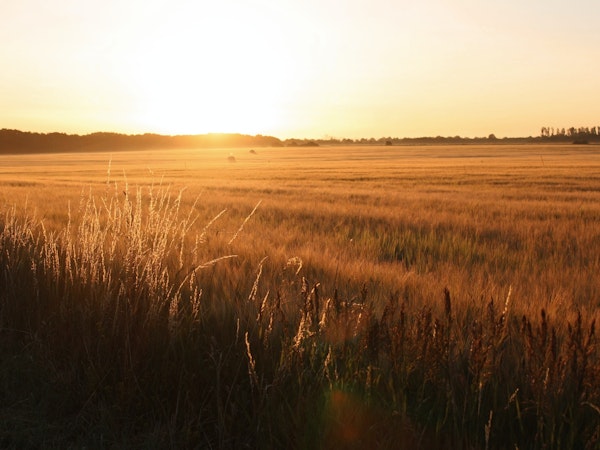 Morning Sunlight nature photography