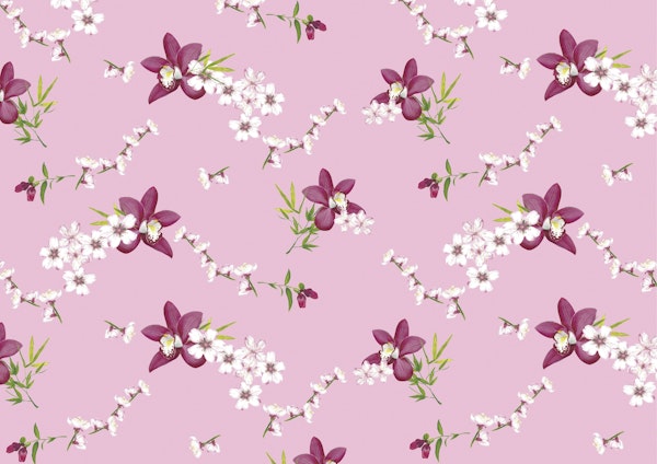 Orchid Blooms Serenity