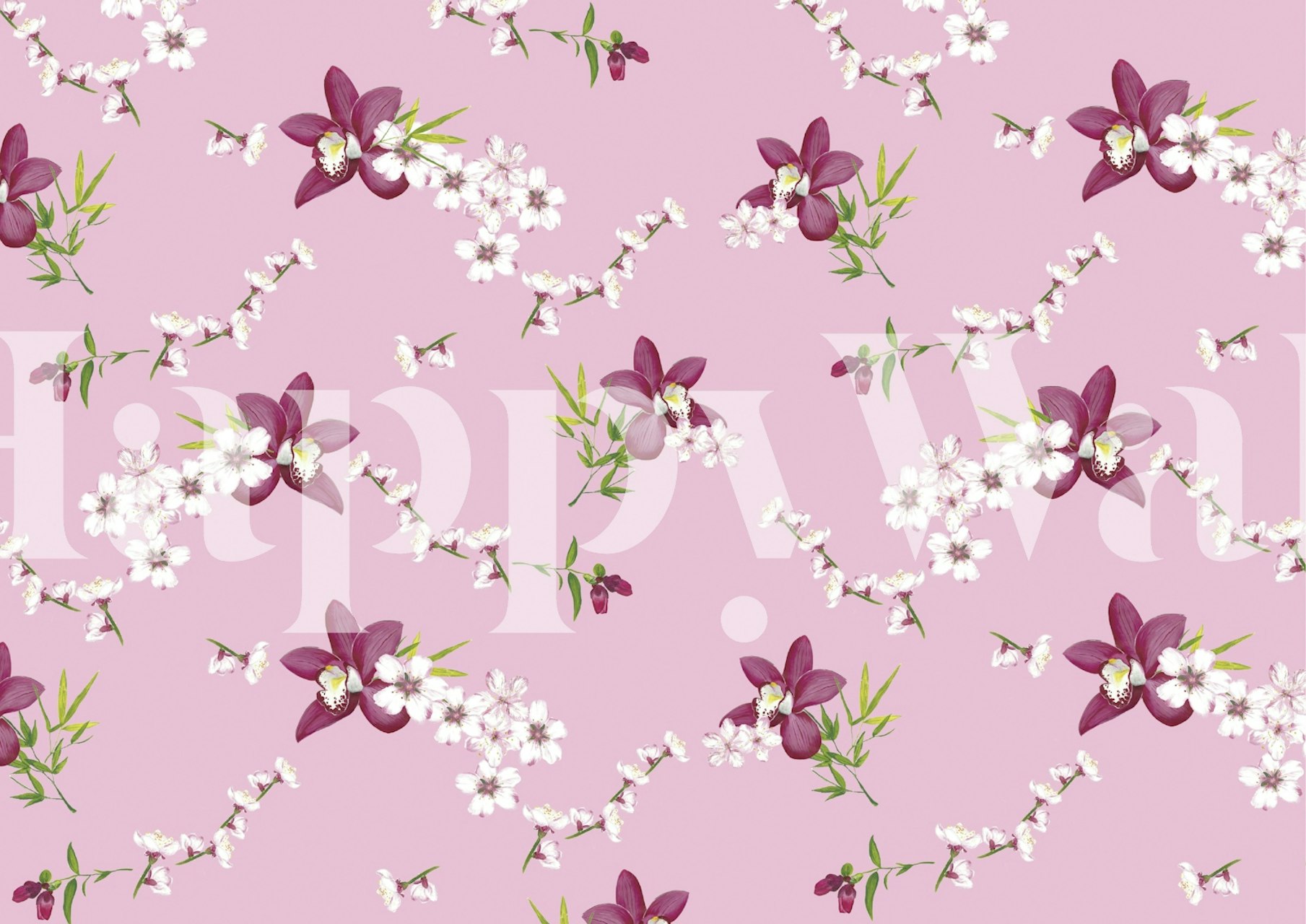 Orchid Blooms Serenity wallpaper in a room