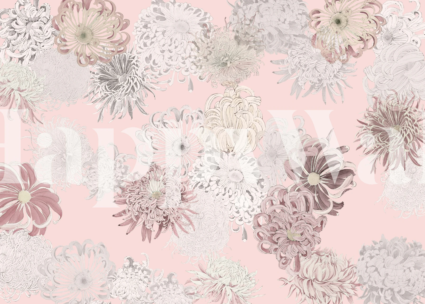 Pastel floral wallpaper with pink and white flowers on a blush background.