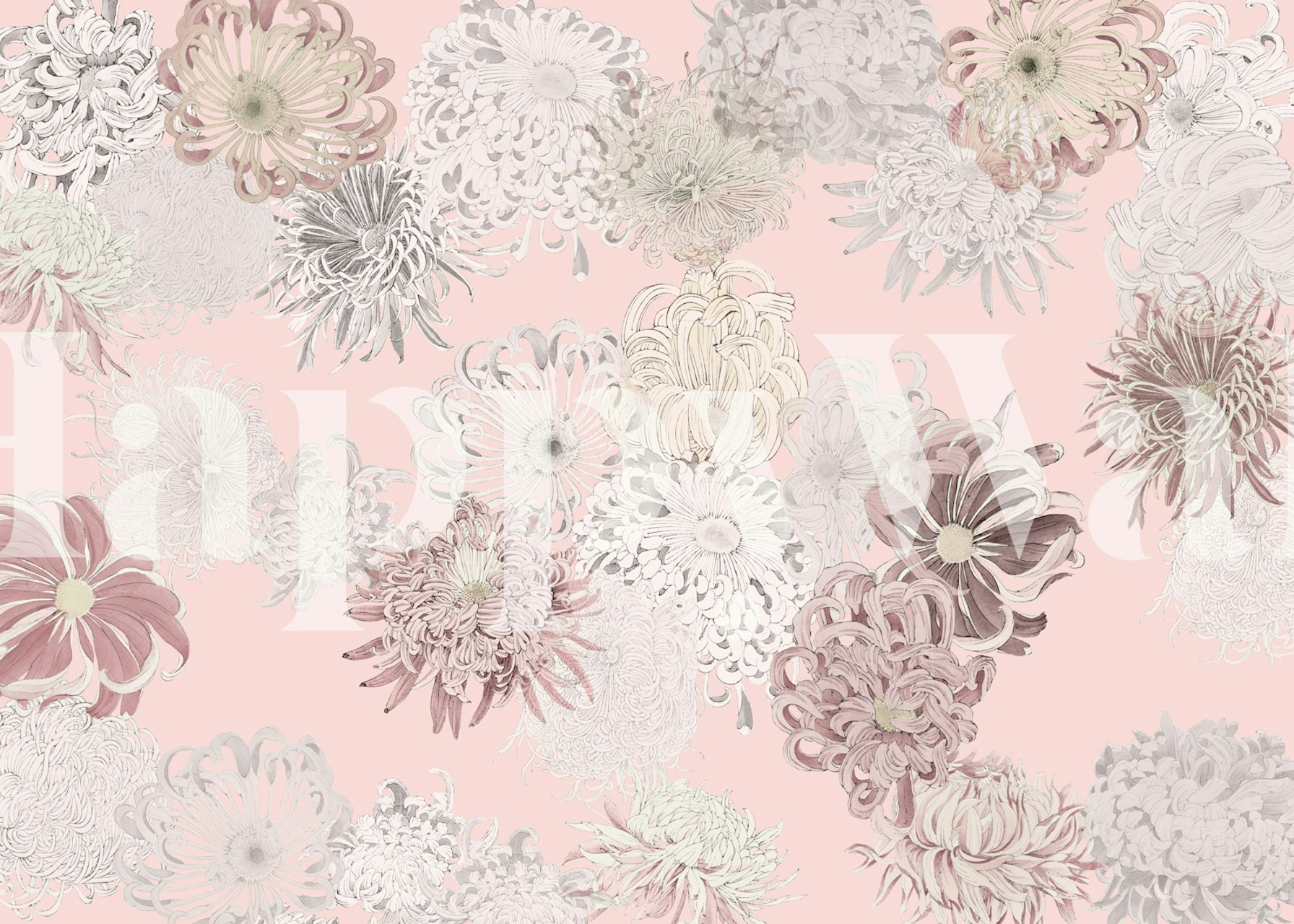 Pastel floral wallpaper with pink and white flowers on a blush background.
