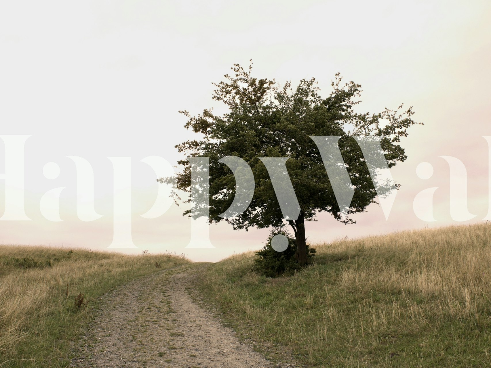 Mural de naturaleza con un árbol solitario en un Tree on a hilltop
