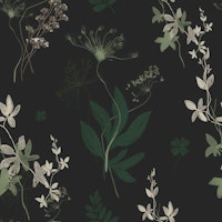 Dark Botanical Field Pattern tapet