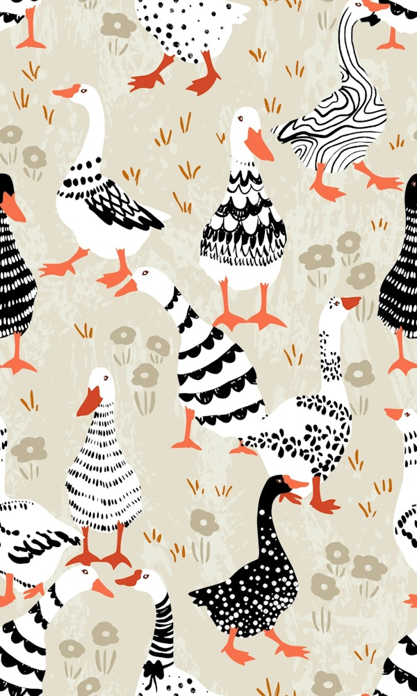geese black and white patterned farm animals