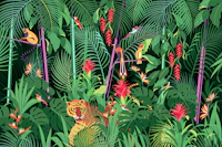 Life in the Tropical Rainforest tapeta