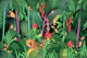 Life in the Tropical Rainforest