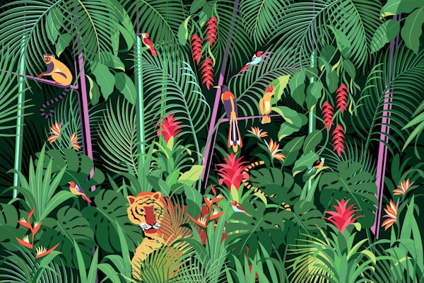 Life in the Tropical Rainforest