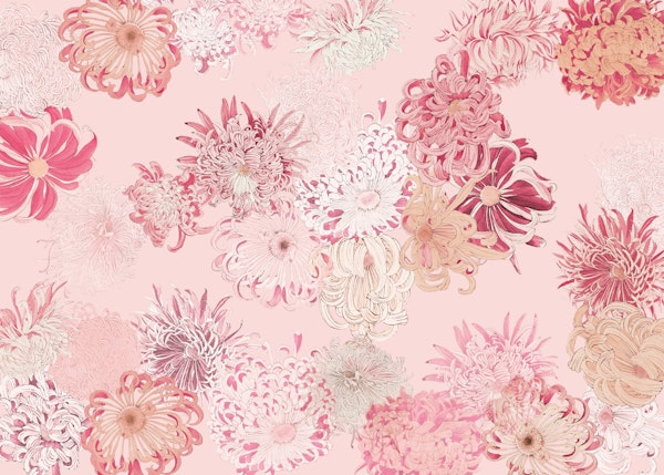 Blossom Botanical Bliss