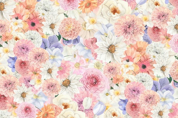 Colorful Floral Bloom