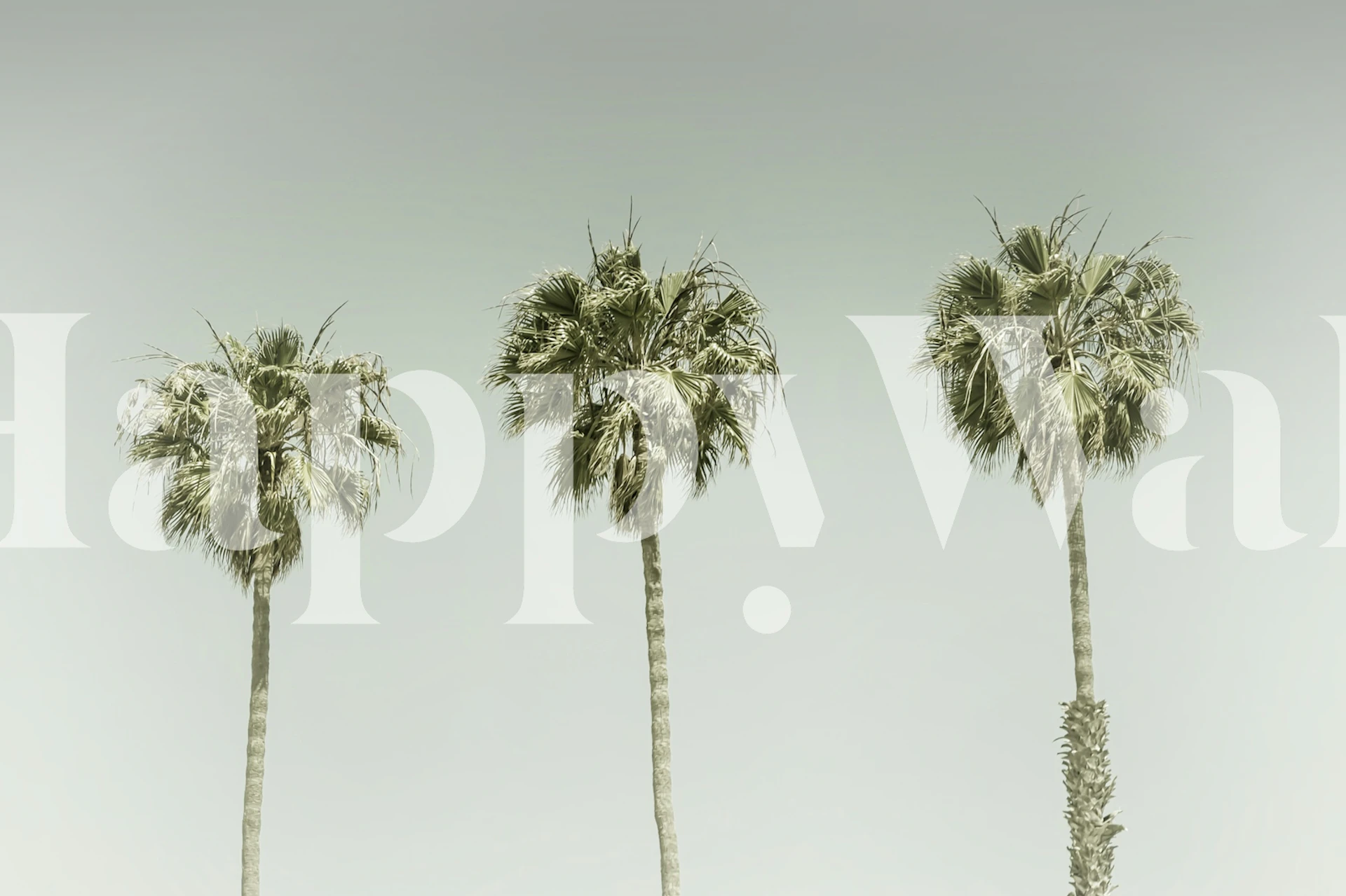 Three vintage palm trees on a muted gray background wallpaper
