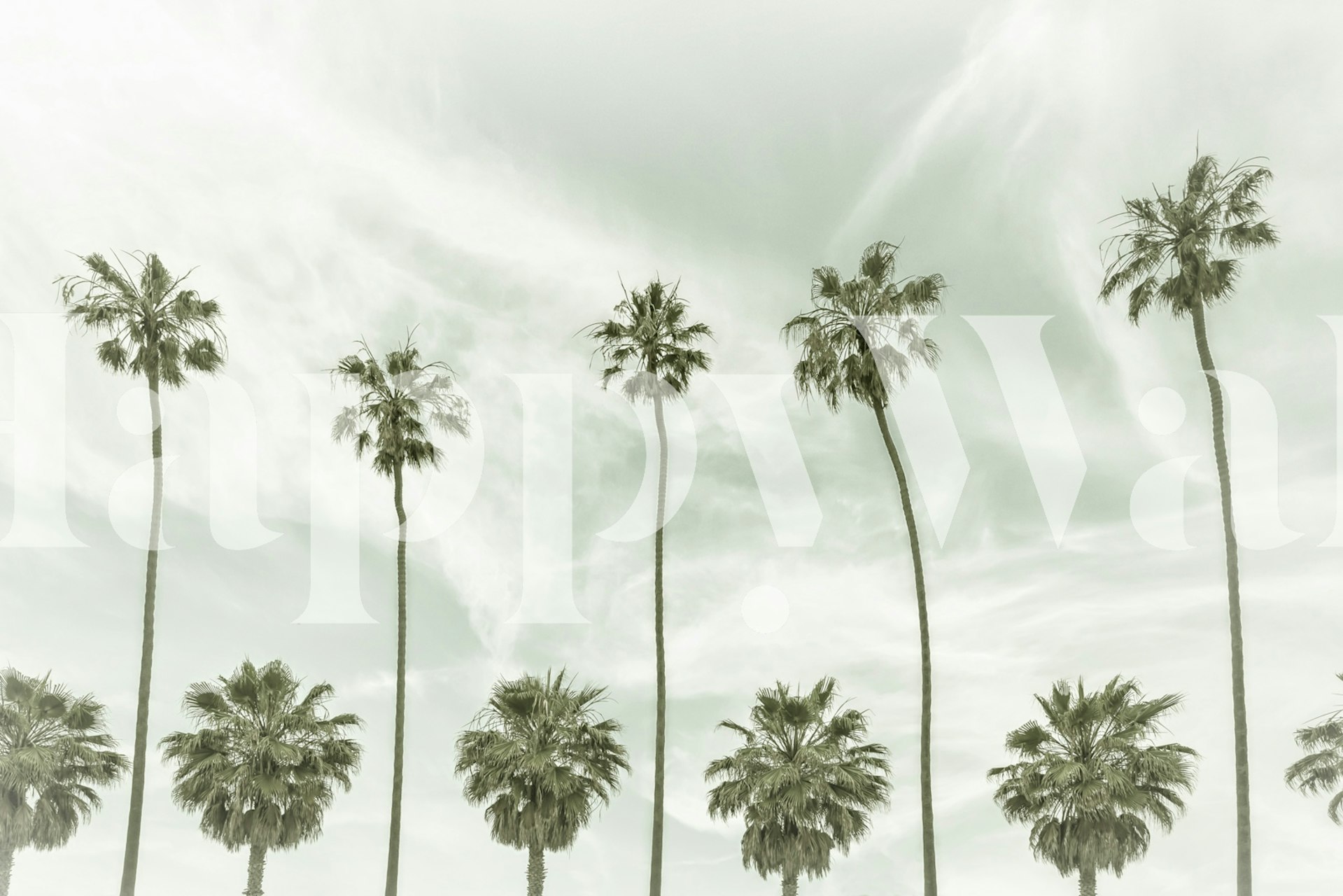 Tall palm trees against a cloudy sky in monochrome wallpaper