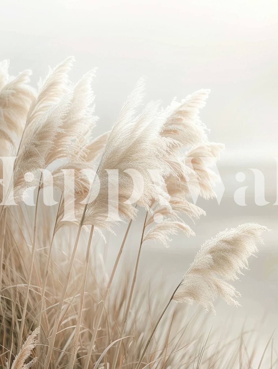 Pampas grass in soft tones of beige and cream wallpaper