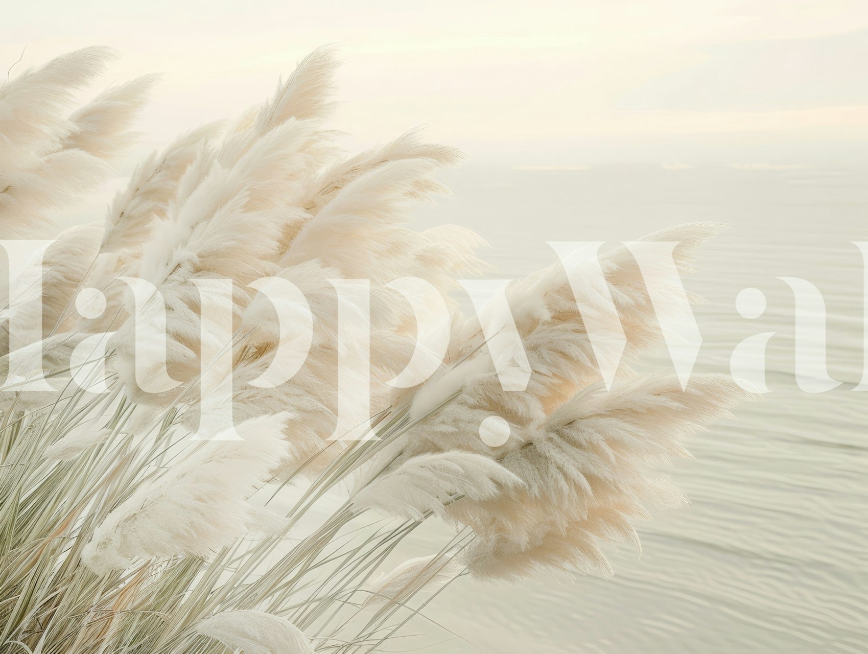 Papel de parede Evening pampas grass em um cômodo