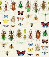 The Usual Suspects - off white Insects Large behang