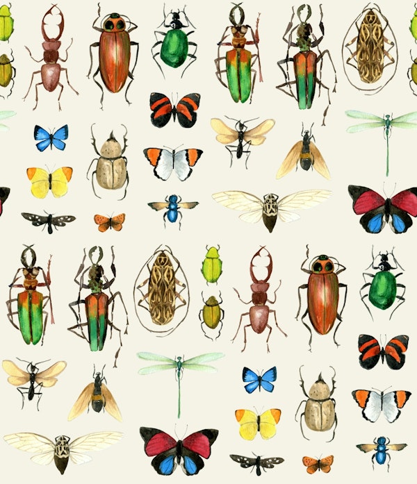 The Usual Suspects - off white Insects Large