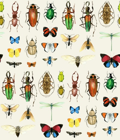 Pattern