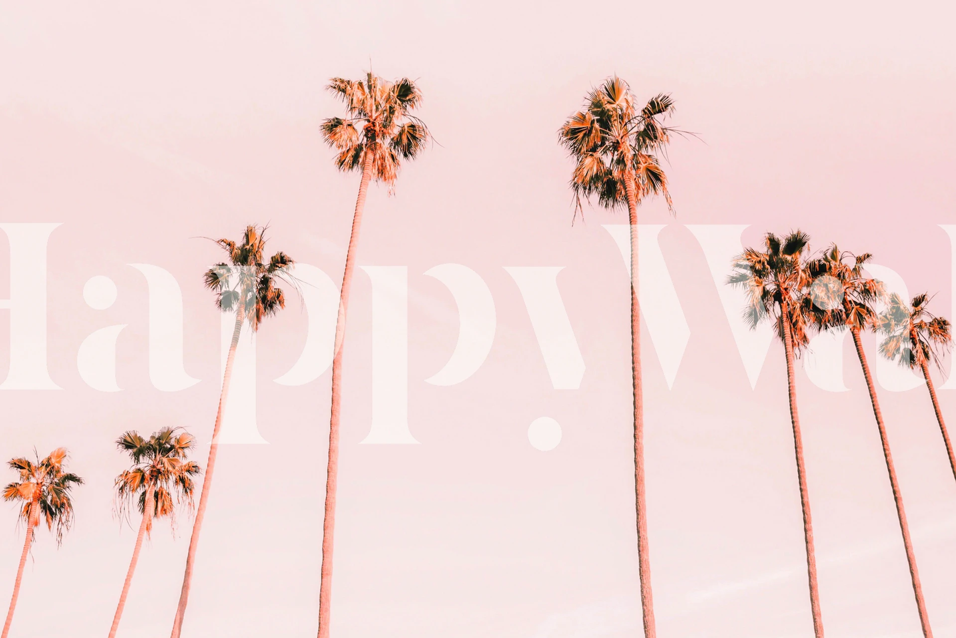 Tapeta Summer palms v moderní místnosti