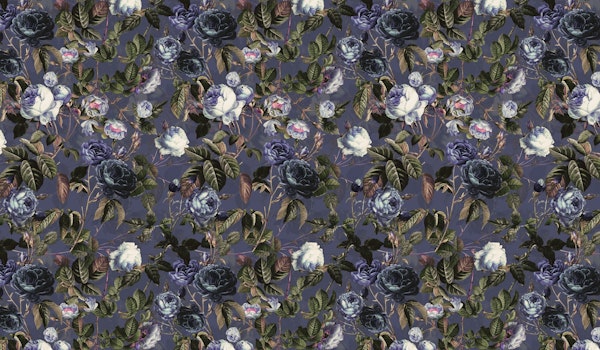 Roses in the Dark II