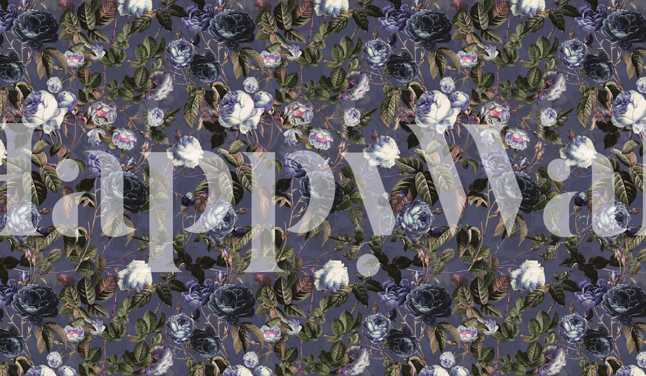 Roses in the Dark II wallpaper in a room setting