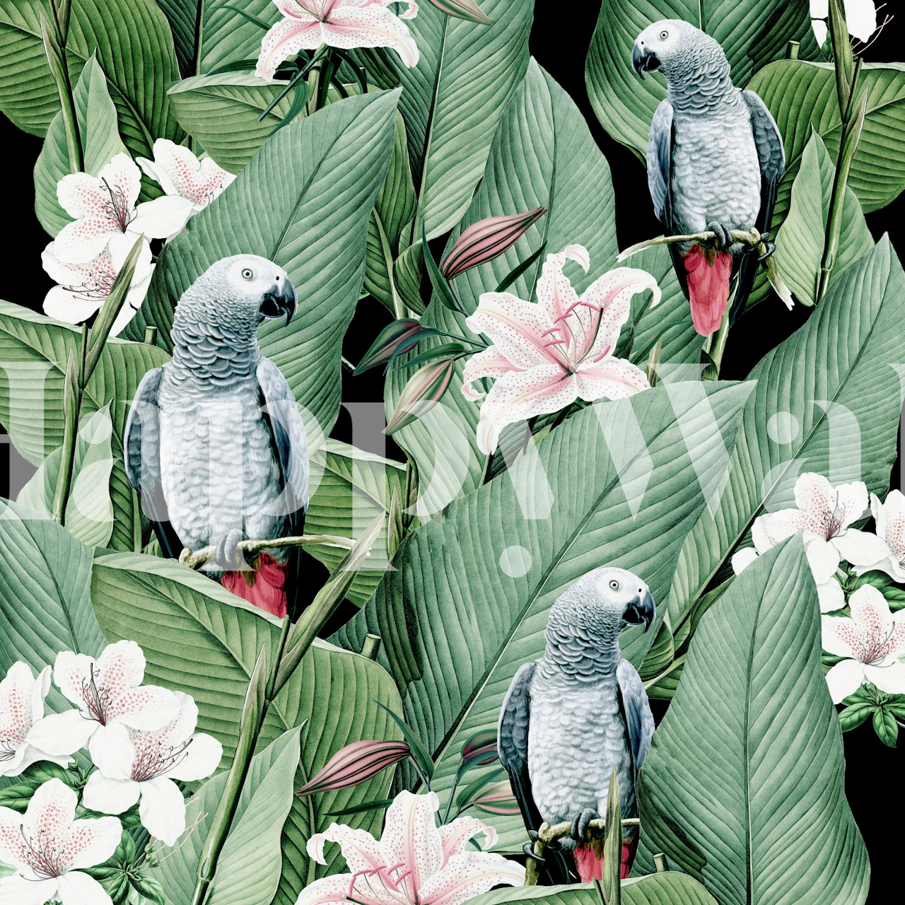 Gray parrots amidst vibrant green leaves and pink flowers wallpaper
