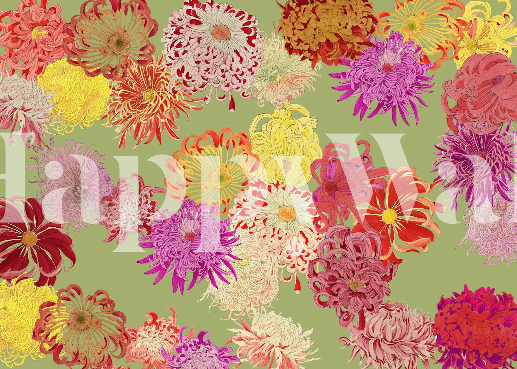 Design de papel de parede floral colorido em um quarto