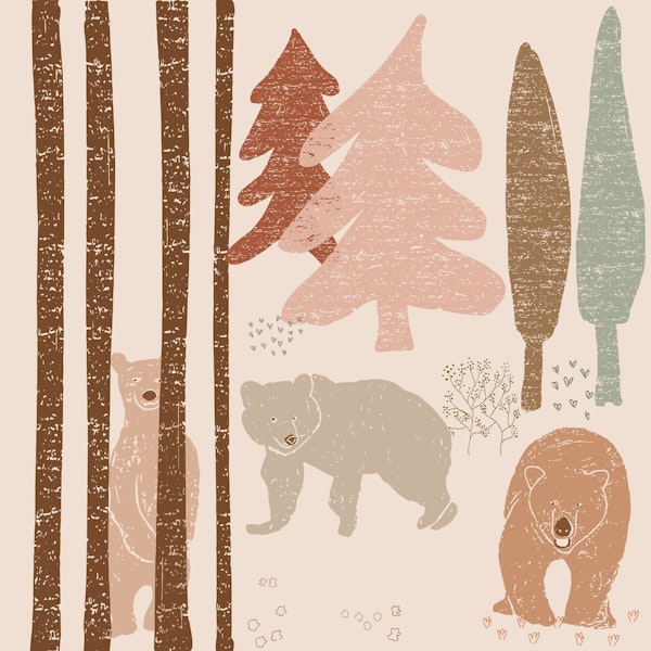 Fun Woodland Bear Adventure