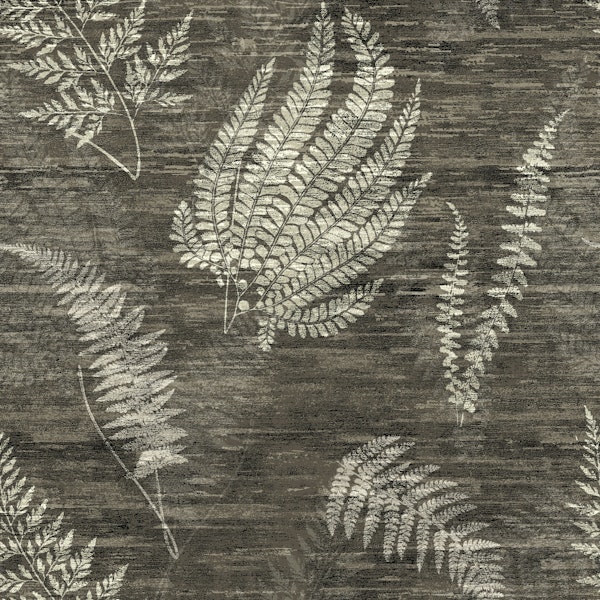 Antique Botanical Ferns