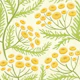 Tansy Block Print Floral Yellow Green Cream