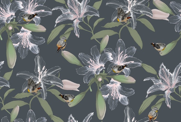 The Lily White on Slate