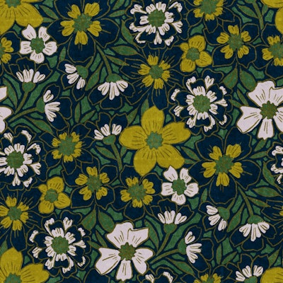 Modello