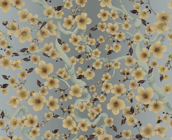 Cherry Plum Floraison Apricot on Sand