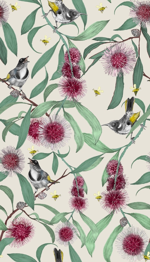 Bees in The Hakea on Pebble Grey
