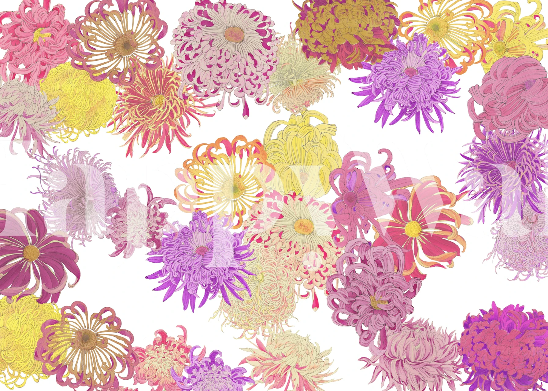 Floral wallpaper in a room setting