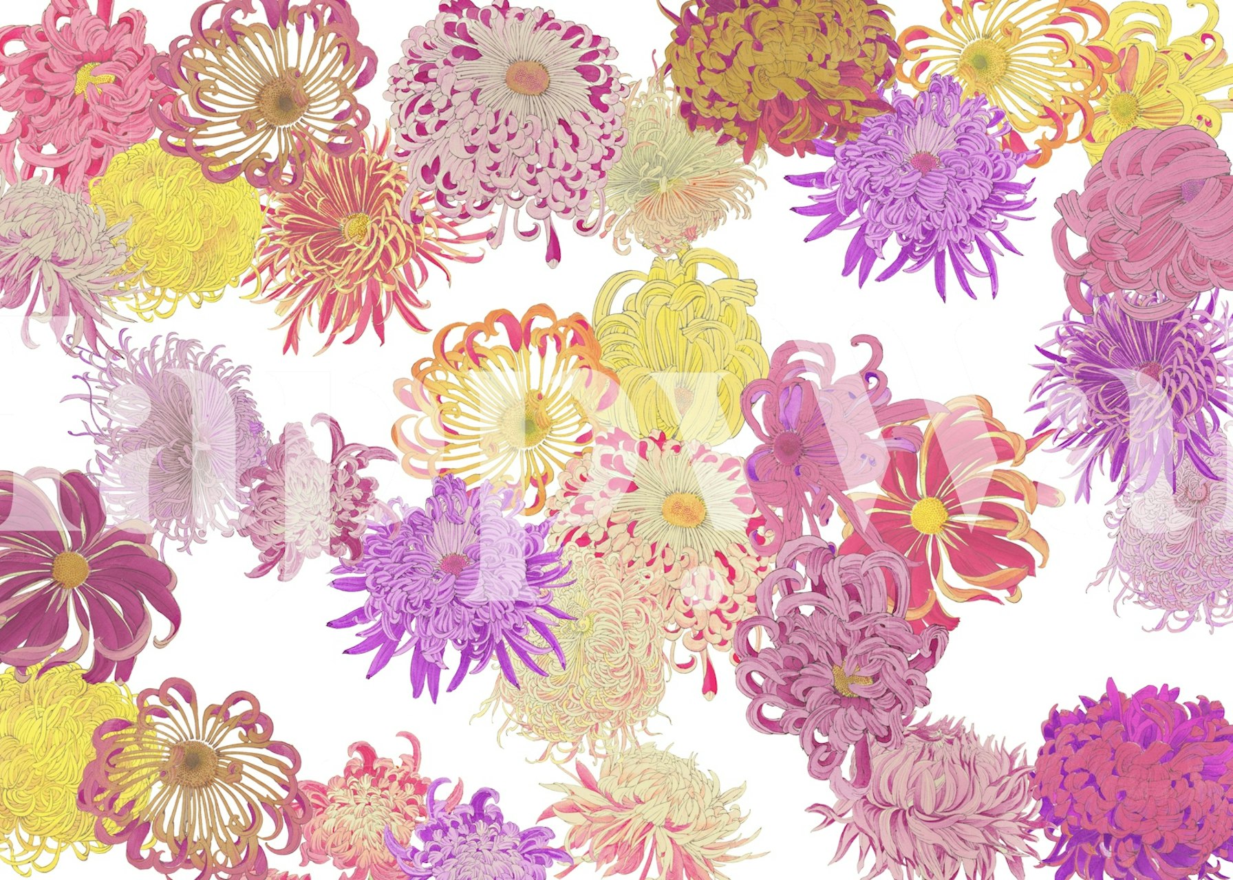 Floral wallpaper in a room setting