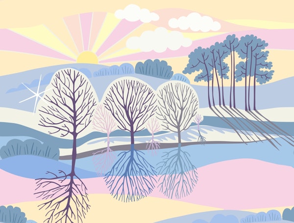 Sunshine on snowy fields - Apricity Mural