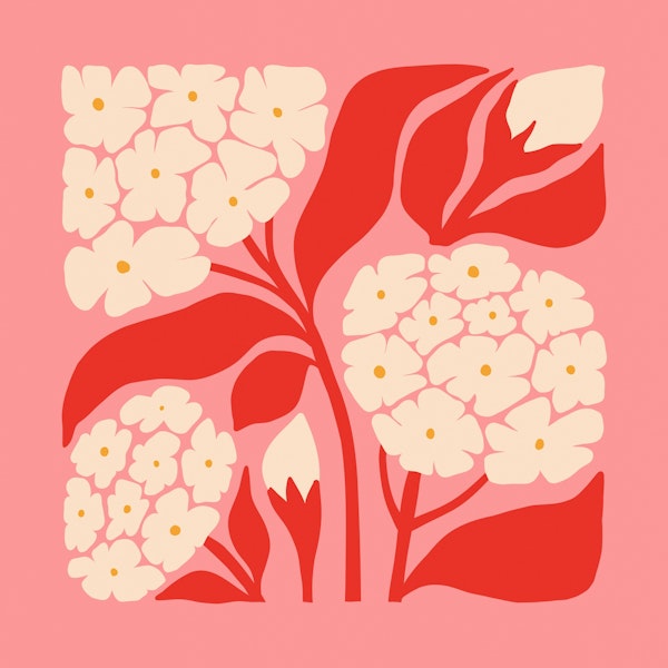 Abstract Botanical Bloom on Bright Pink