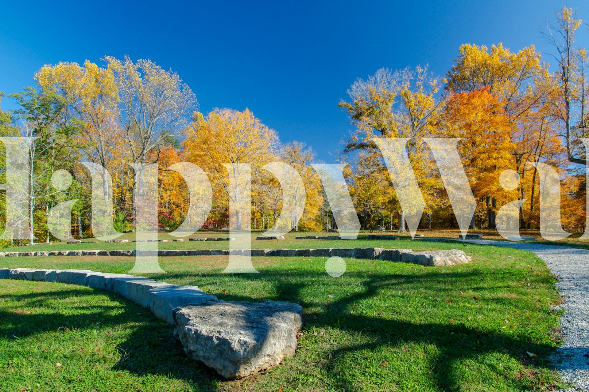 Amphitheatre in Autumn Park carta da parati in una stanza