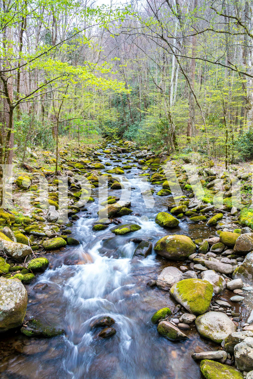 Forest Water Cascade wallpaper in a room