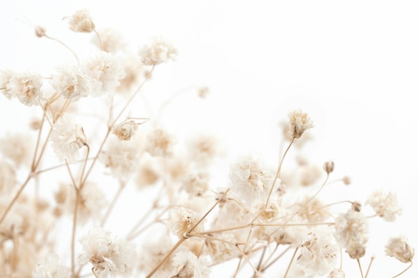 Delicate Dried Flowers