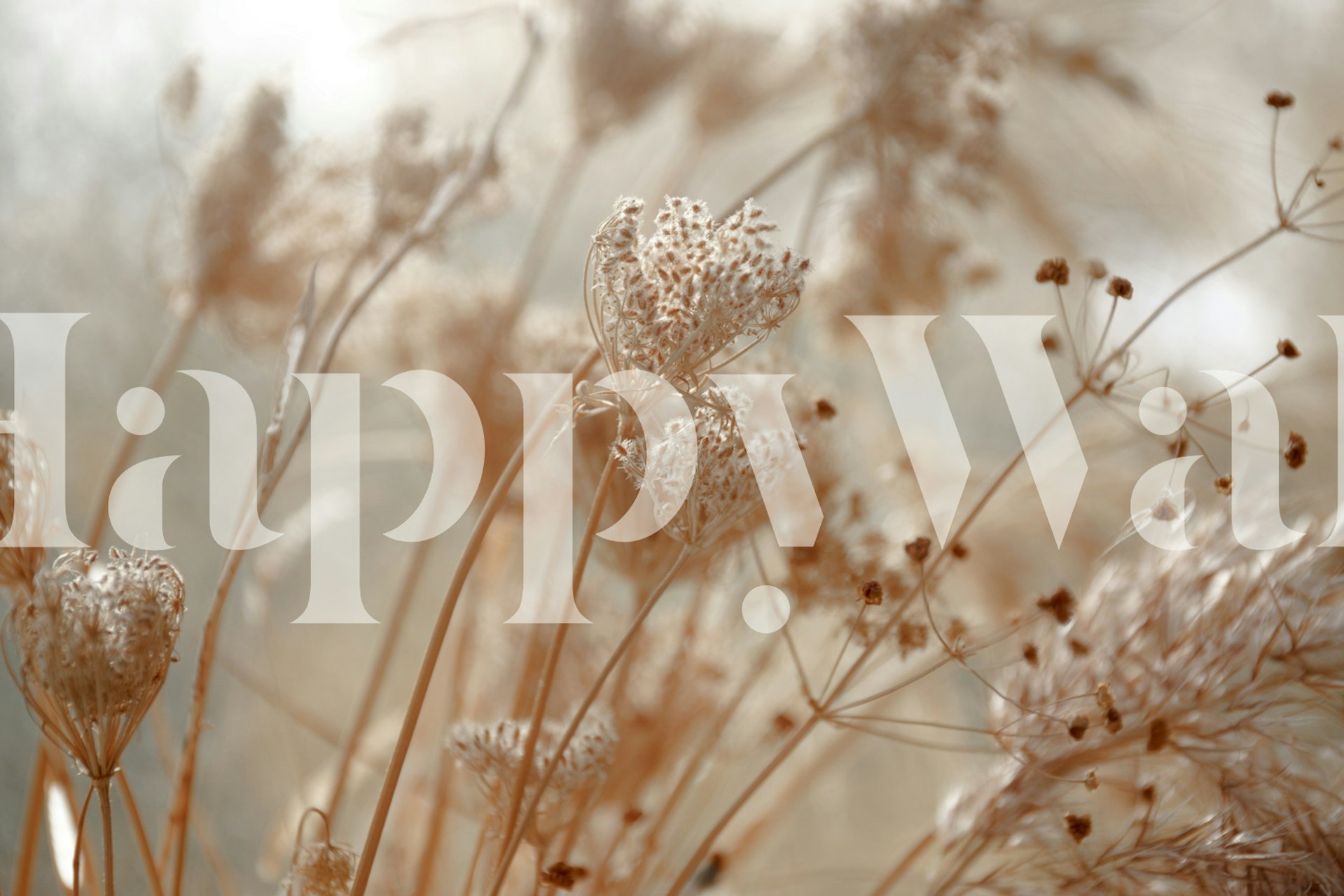 Dried Wildflowers in Beige papier peint dans une pièce