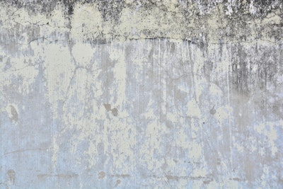 Mural