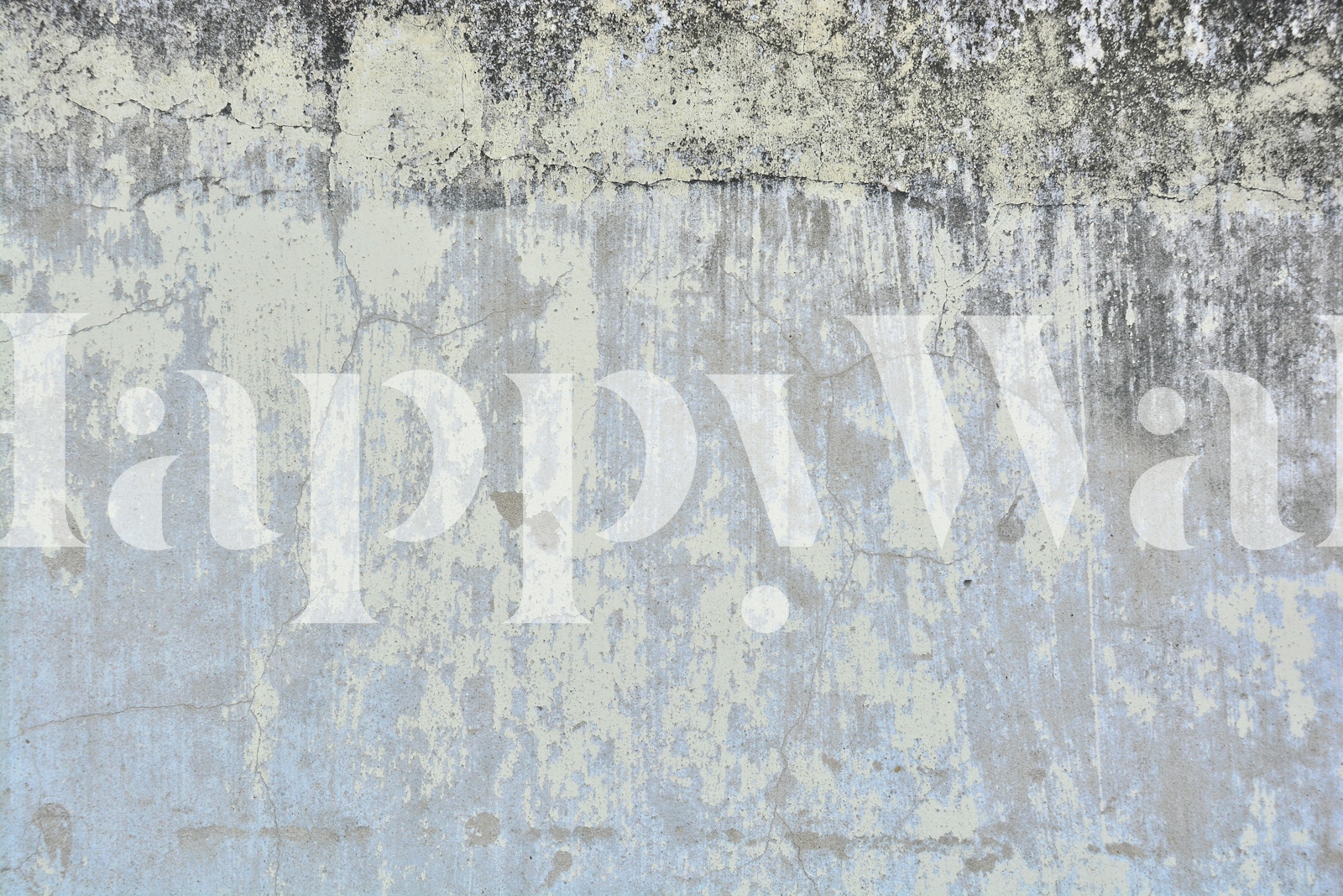 Artful Concrete Wallpaper for Modern Decor