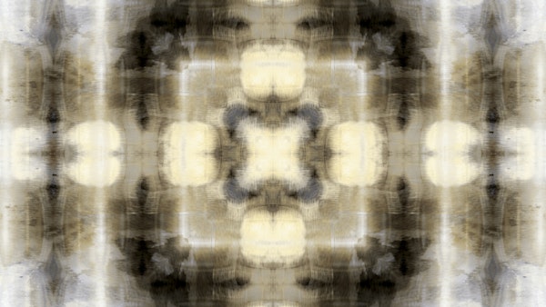 Reflections of Earth