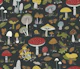 Forest Floor - toadstool and frog woodland