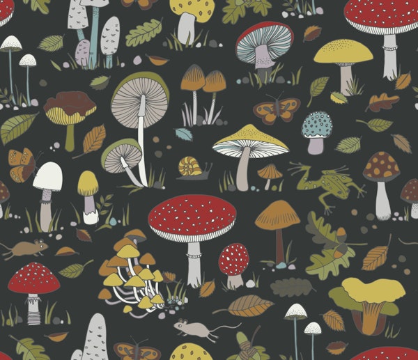 Forest Floor - toadstool woodland frog small